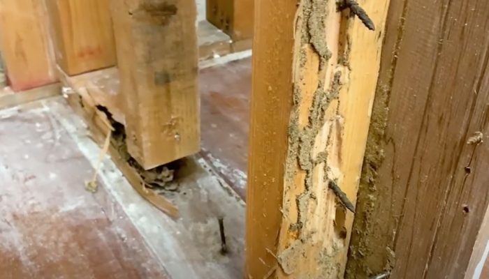 WRT-Timber-course-video-01-s.jpg